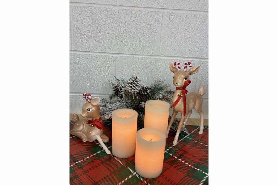 Class of '70 + 70th Birthday